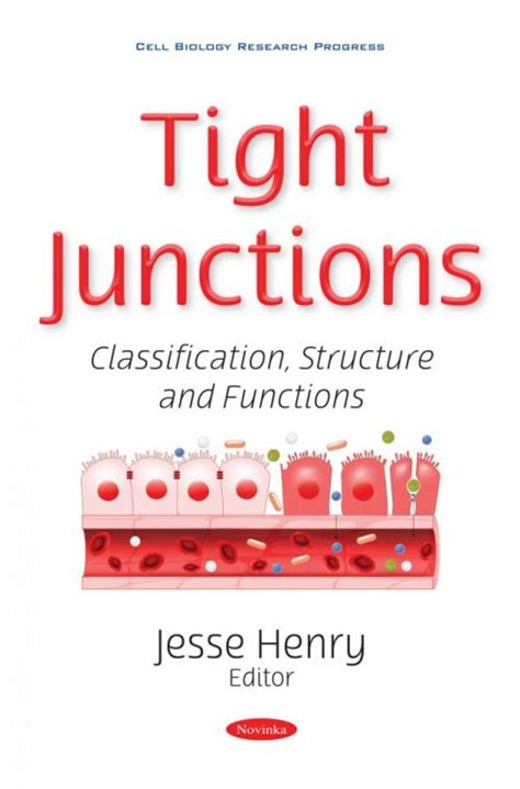 Tight Junctions Classification Structure And Functions