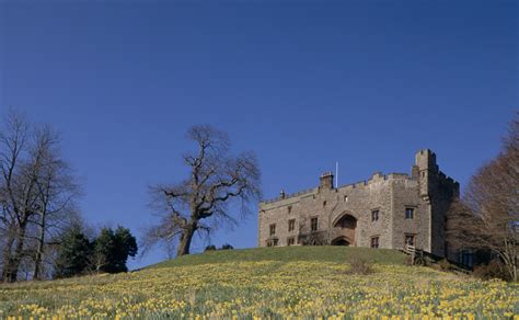 muncaster castle sights attractions    smartsave
