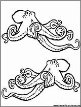 Coloring Octopus Octopuses Pieuvre Xcolorings Coloriages sketch template