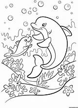 Dolphin Sea sketch template