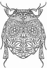 Coloring Pages Insect Bug Printable Colouring Adult Beetle Advanced Detailed Mandala Zentangle Doodle sketch template
