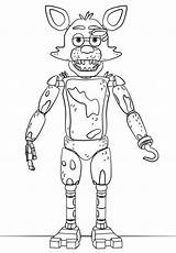 Nights Freddy Fnaf Foxy Freddys Dibujos Colorare Fazbear Disegni Funtime Entitlementtrap Delfines Mangle Endorsed Sister sketch template