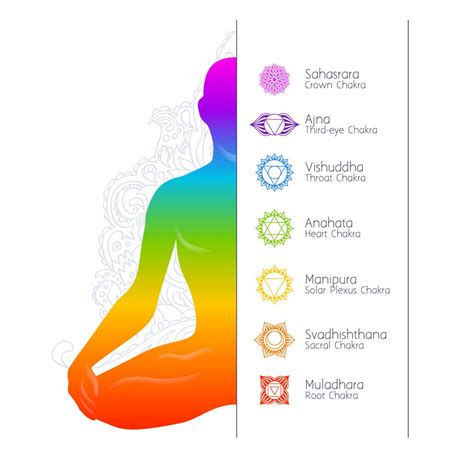 What Are The Seven Chakras In The Body Soular Energy