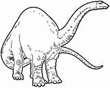 Apatosaurus Coloring Dinosaur Drawings sketch template