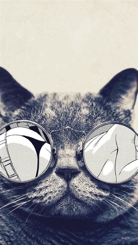 hipster cat wallpaper backiee