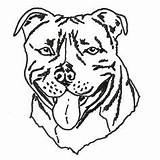 Pitbull Bull Staffordshire Terrier Kleurplaat Puppy Clipartmag Bullterrier Malvorlage Informatie Getdrawings Staffy sketch template