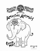 Ringling Circus sketch template