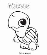 Turtle Coloring Pages Print Baby Animal Printable sketch template