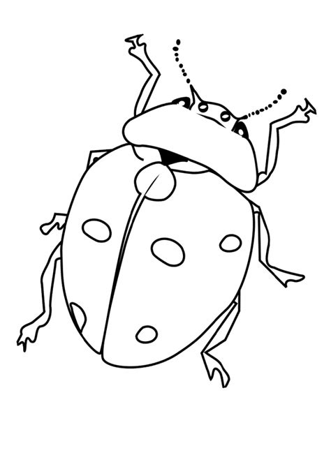 bug coloring pages  preschool home