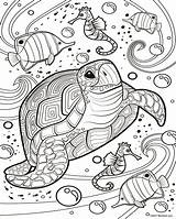 Quiver Mandalas Sealife Quivervision Scentos Divyajanani Ausmalen Aquatic Tortue Jungen Tweens Umwandeln Jungs Adultes Adulte Mignon Poisson Defi Turtle Tortues sketch template