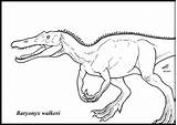 Baryonyx Coloring Pages Clipart Tarbosaurus Library Dinosaurs Popular Clipground Lesothosaurus sketch template