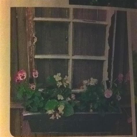 window planter window planters outdoor planters