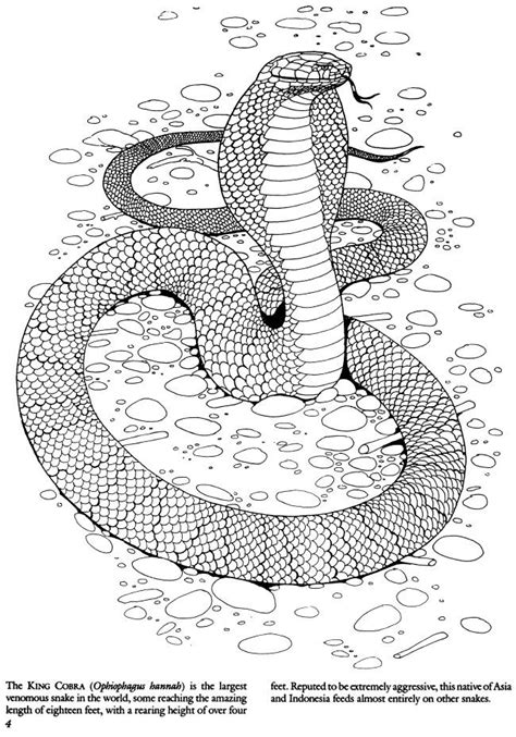 dover publications snake coloring pages mandala coloring