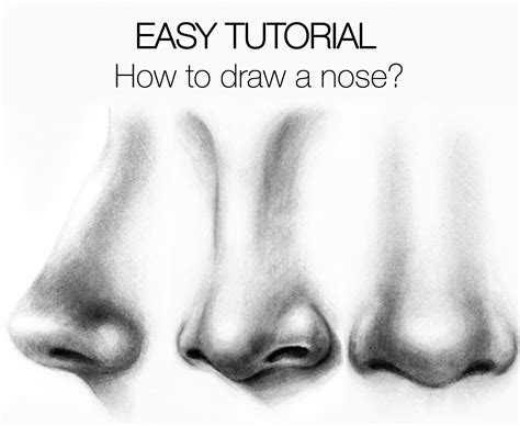 easy tutorial   draw  nose silvie mahdal  art  pencil