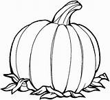 Pumpkin Coloring Outline Pages Printable Simple Halloween Drawings Drawing Pumpkins Christian Print Blank Color Sheet Templates Clip Sheets Fall Template sketch template