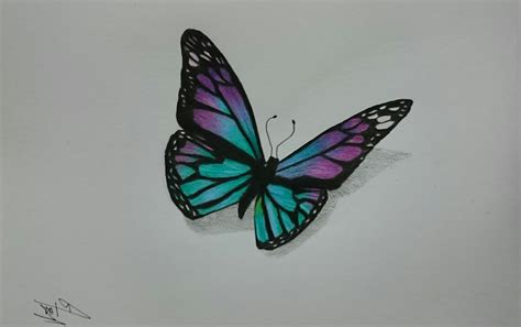 pencil drawing  butterfly  getdrawings