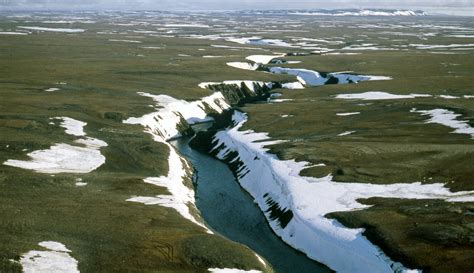 blessing   curse melting permafrost   russian arctic  arctic institute center