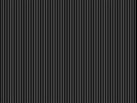 amazing animated optical illusins   optical illusions