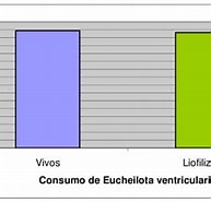 Afbeeldingsresultaten voor "eucheilota Ventricularis". Grootte: 193 x 176. Bron: www.researchgate.net