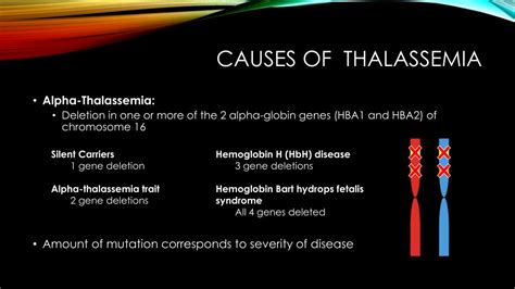 ppt thalassemia powerpoint presentation free download id 5780465
