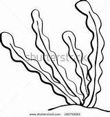 Coral Drawing Seaweed Draw Cartoon Clipart Drawings Coloring Sea Kids Line Vector Pages Go Easy Stock Back Kelp Printable Paintingvalley sketch template