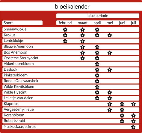 tips voor het fotograferen van bloemen cameranu