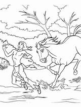 Colorare Fiume Piccolo Corre Che Disegni Cavallo Selvaggio Creek sketch template