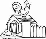 Chicken Coop sketch template