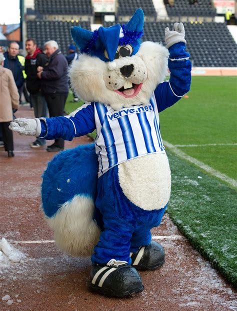 pictures   football mascots daily record