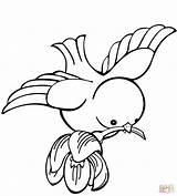 Coloring Pages Bird Flower Carrying Printable Print Spring Drawing sketch template