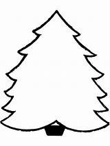 Christmas Coloring Pages Trees Draw Color sketch template
