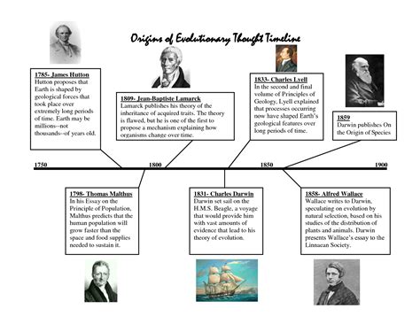 timeline  psychology theories yahoo image search results learning