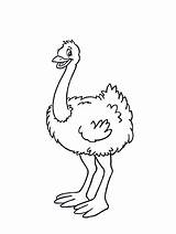 Ostrich Avestruz Strauss Struzzo Struisvogel Ostra Avestruces Mutter Kleurplaten Advertentie Pubblicità Kleurplaat Vogels Tiere Uccelli Bestcoloringpagesforkids Anzeige 1634 Publicidade Marcadores sketch template