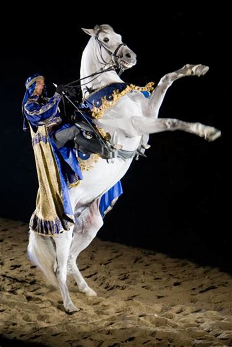 medieval times canada buy  ticket    discount coupon code