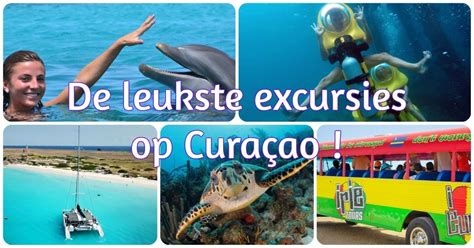 activiteiten curacao de top  bekijk en boek direct