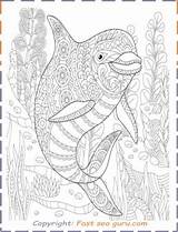 Pages Dolphin Colouring Adults Coloring Printable Print sketch template