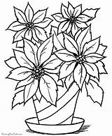 Coloring Christmas Pages Flower Flowers Printable Printing Help sketch template