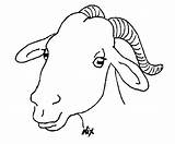 Bode Outline Colouring Drawings Goats Participar Costura Recomendamos Quer Aqui sketch template