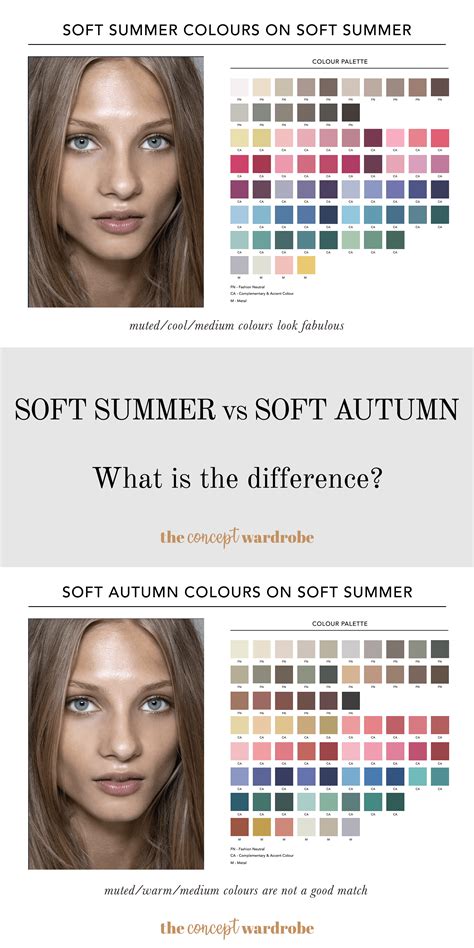 soft summer  soft autumn    difference  concept