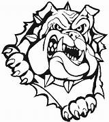 Logo Bulldogs Bulldog Clipart Clip Mascot Drawing Head Printable Dog Georgia Bull Mack Vector Coloring Football Cliparts Logos Pages Angry sketch template