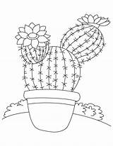 Cactus Coloring Pages Saguaro Flower Tree Drawing Printable Color Tall Desert Model Getdrawings Drawings Flowers Print Kids Template Barrel Landscape sketch template