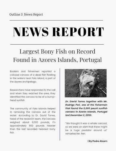 sample news report templates  ms word