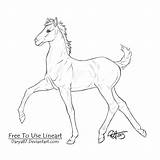 Horse Foal Lineart Darya87 Appearances Linearts Rearing sketch template