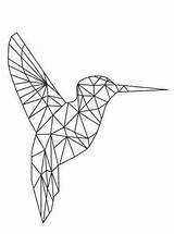 Geometrische Kolibri Geometric Vormen Ausmalbilder Animals Formen Tiere Geometrizados Malvorlage Clipart Tekeningen Stemmen Hummingbird Srisovki sketch template
