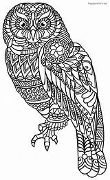Mandala Coloring Animals Animal Owl Pages Age sketch template