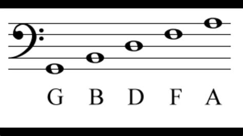 theory  dotted notes rests time signatures