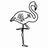 Flamingo Flamenco Flamencos Dibujar Flamingos Baixar Educación Menta Recursos Más Coloringp Imagui sketch template