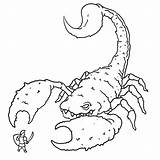 Scorpion Coloring Pages Insect Sheet Printable Giant War sketch template