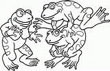 Amphibian Amphibians sketch template