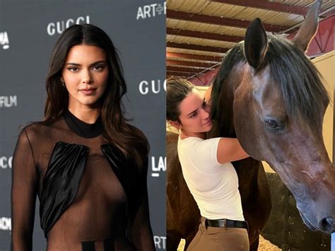 kendall jenners horse    baby  surrogate